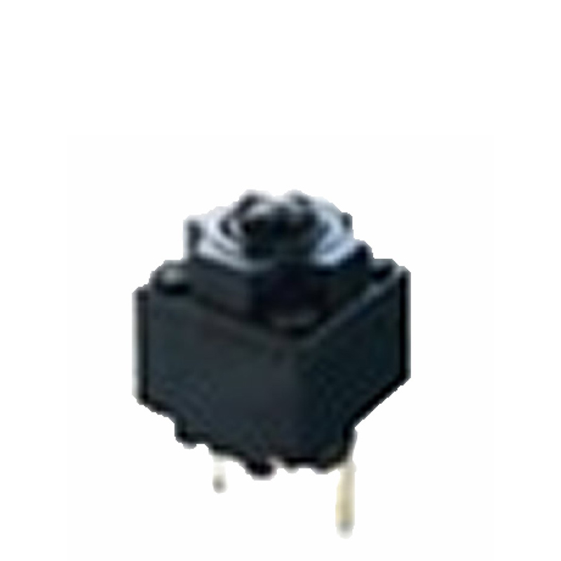  TVDP21